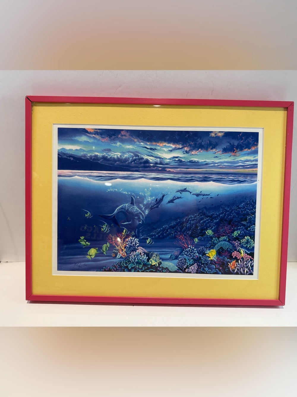 Vintage Framed Dolphin and Coral Reef Marine Life Art Print